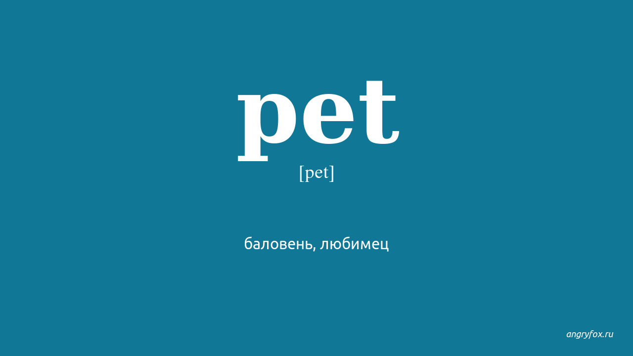 Английское слово pet